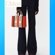 ブランドクロエCHC21WS397F37801コピー