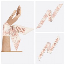 ディオール2010B1411スーパーコピー