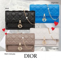 ディオール22033006スーパーコピー