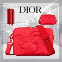 ブランドディオール2ESBC119RAYコピー