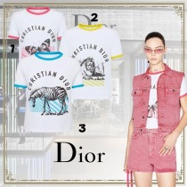 ディオール223T18A4499X4804スーパーコピー