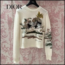 ディオール254S57AM025X0810スーパーコピー