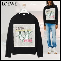 ロエベH526Y14KCZスーパーコピー