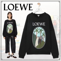 ブランドロエベS897Y24X02コピー