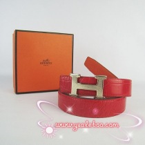 ブランドエルメス17138コピー