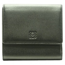 ブランドロエベ18946コピー