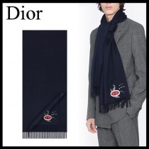 ディオール24E0003A0740スーパーコピー