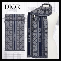 ディオール31CAN205I005スーパーコピー