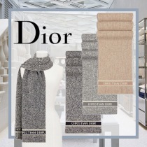 ディオールWJ20スーパーコピー