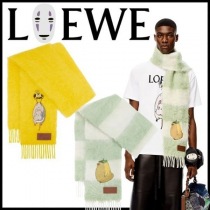 ブランドロエベF606257X15コピー