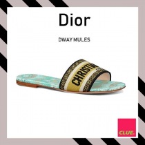 ブランドディオールKCQ209LUE26Bコピー