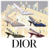 ブランドディオールKDP866EFRコピー