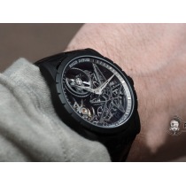 ブランドロジェデュブイRDDBEX0473コピー