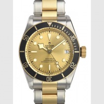 チュードル79733N2スーパーコピー