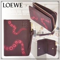 ブランドロエベC643P30X05コピー